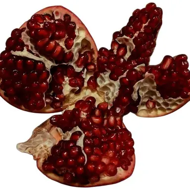Profile image of 스콜트
