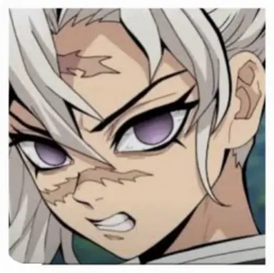 Profile image of Sanemi Shinazugawa