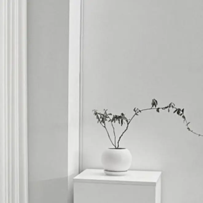 ChubbyBroom6869의 황현진