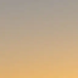 Profile image of Simone