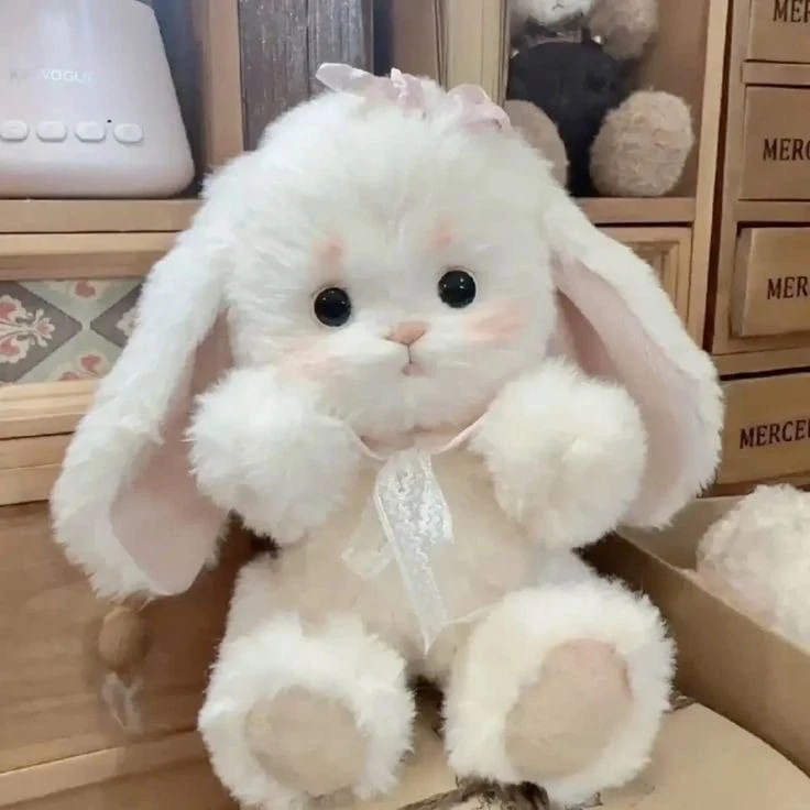 설윤