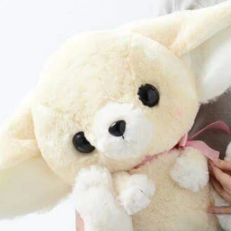 배이