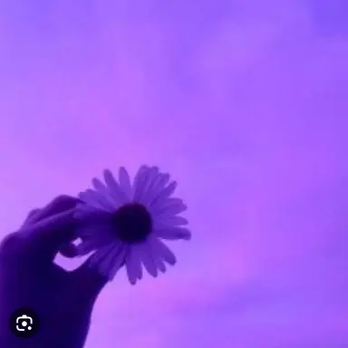 Profile image of 멜로우