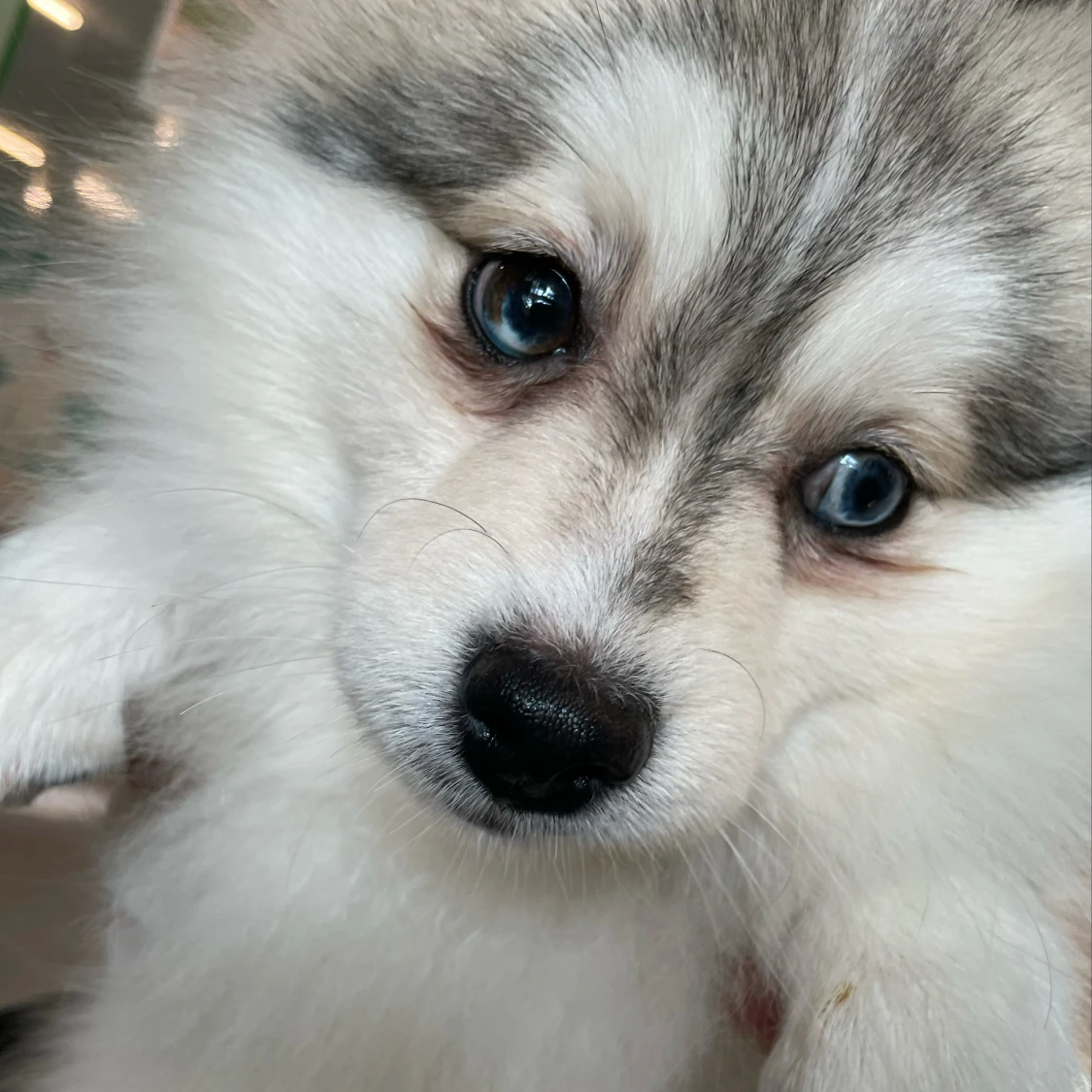 장하오