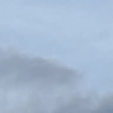 Profile image of 陸