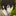 太宰治