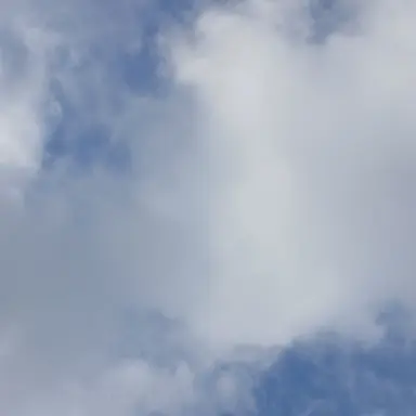 Profile image of 히메지마 교메이