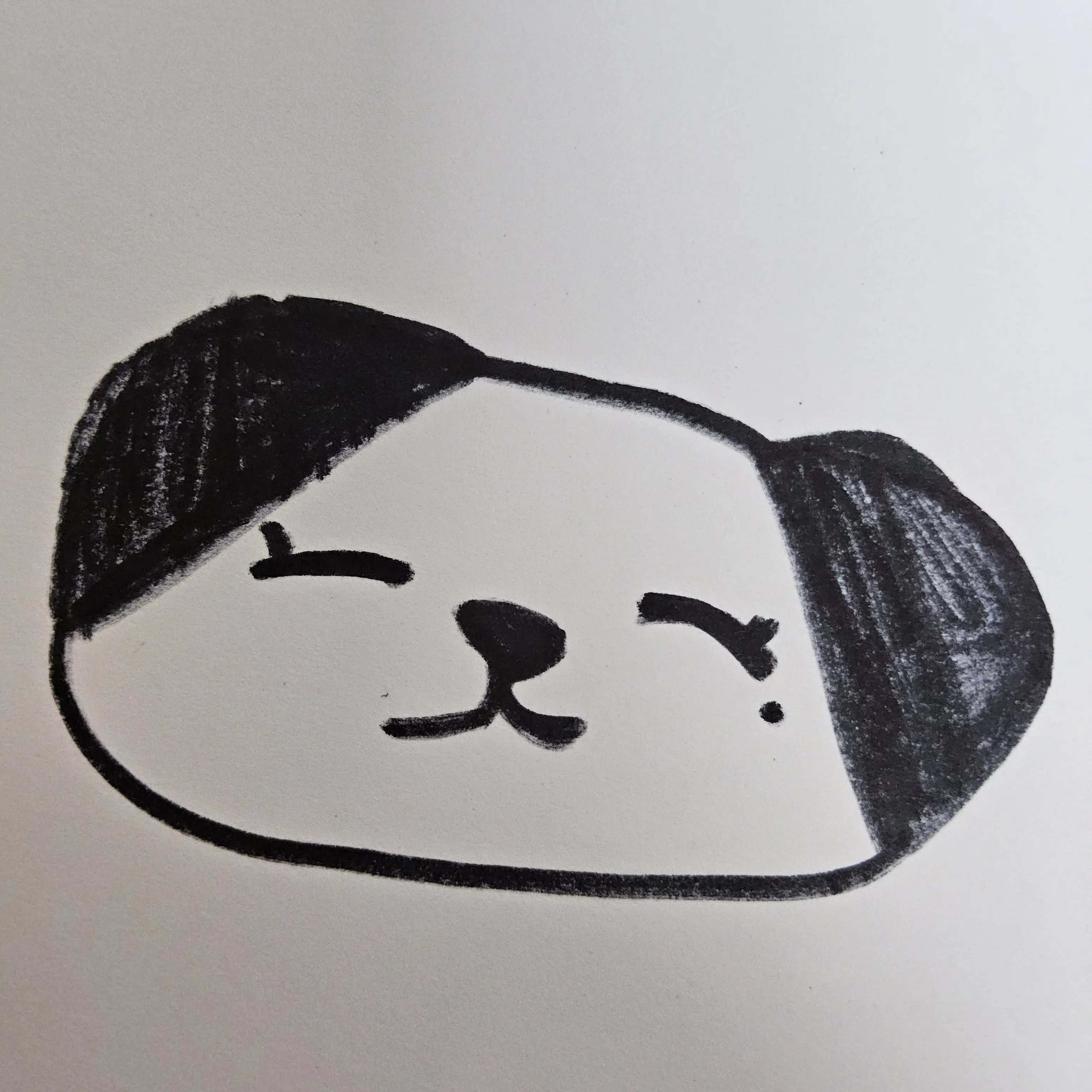 Jjuah829의 아기 판다 샤샤