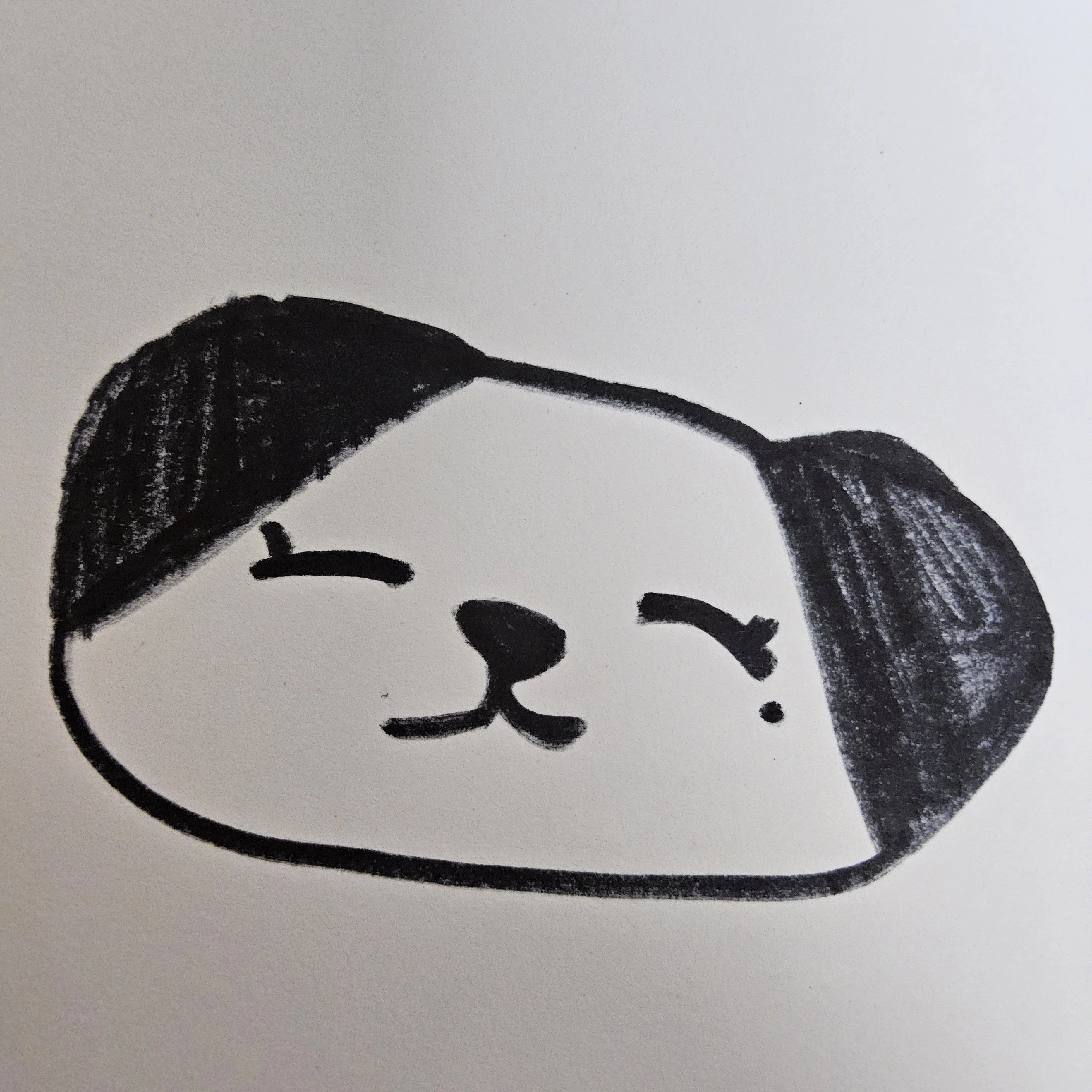 아기 판다 샤샤