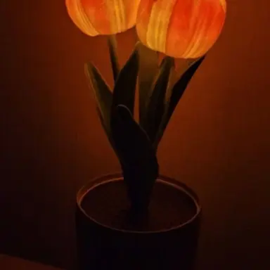 Profile image of 수현 사생팬