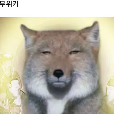Profile image of 여우