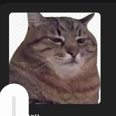 Profile image of 面倒猫
