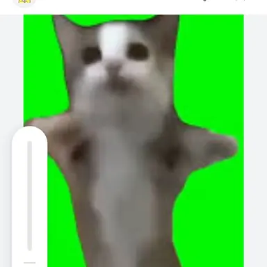 Profile image of ハッピー猫