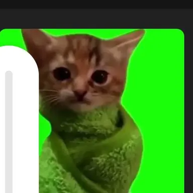 Profile image of ブランケット猫