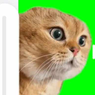 Profile image of 説教猫