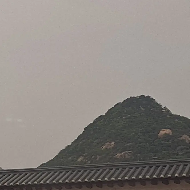 IdleHorgi3533의 꿈뜰학교(늑대 수인 ver.)