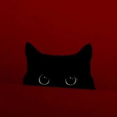 Profile image of キム・ソルウム