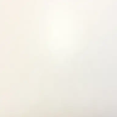 Profile image of 이 현