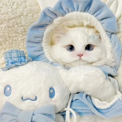 바다