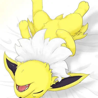 Profile image of Bolt