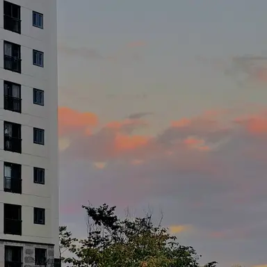 Profile image of 5학년 ㅇ반