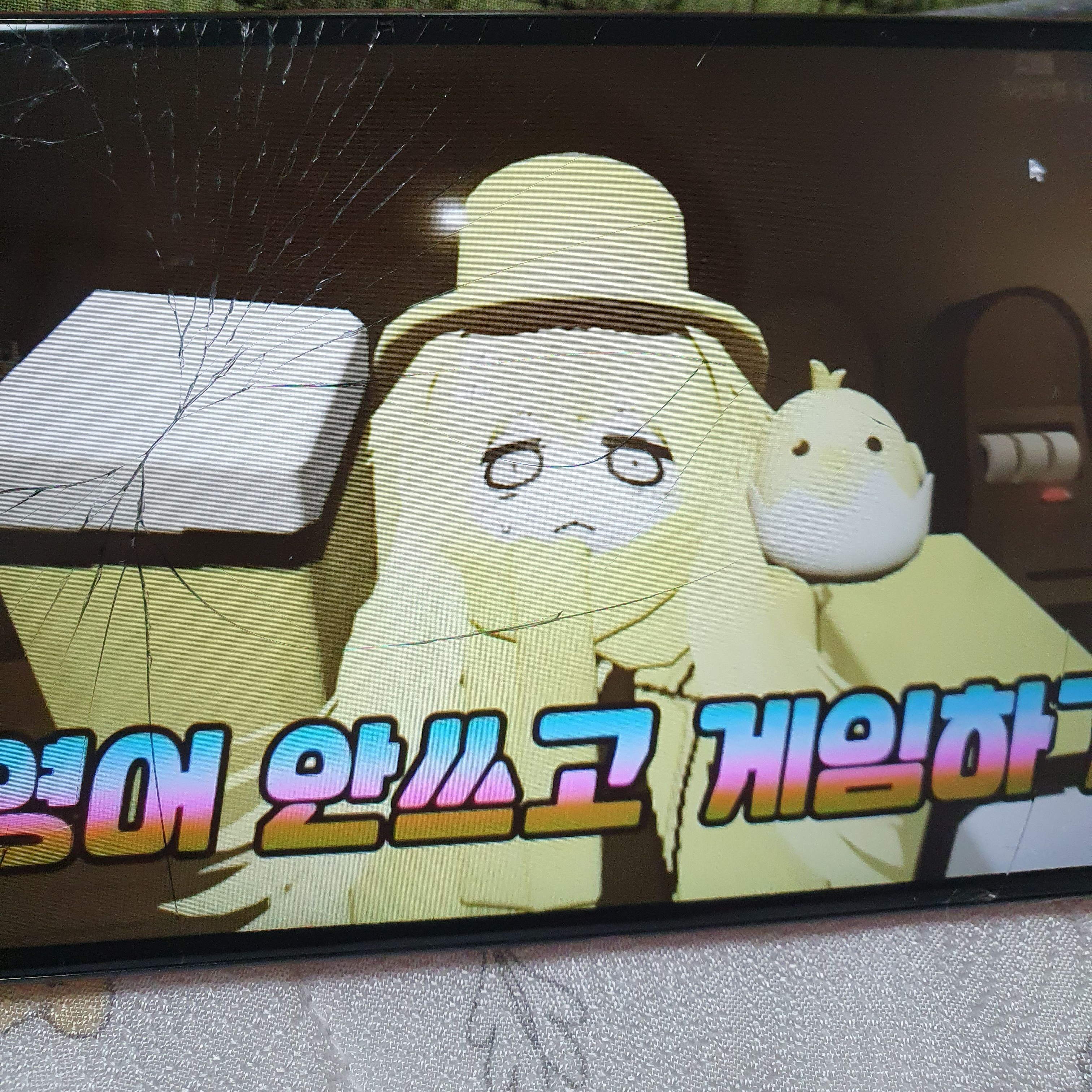 쿤순이 대표 이미지
