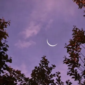 Profile image of 리온