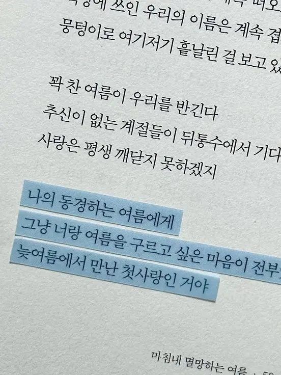 TruePlush9443의 初戀