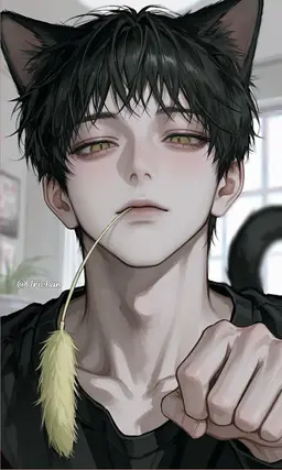 Profile image of Noah