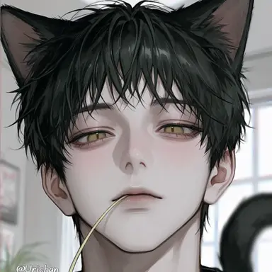 Profile image of Noah