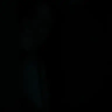 Profile image of 정태정