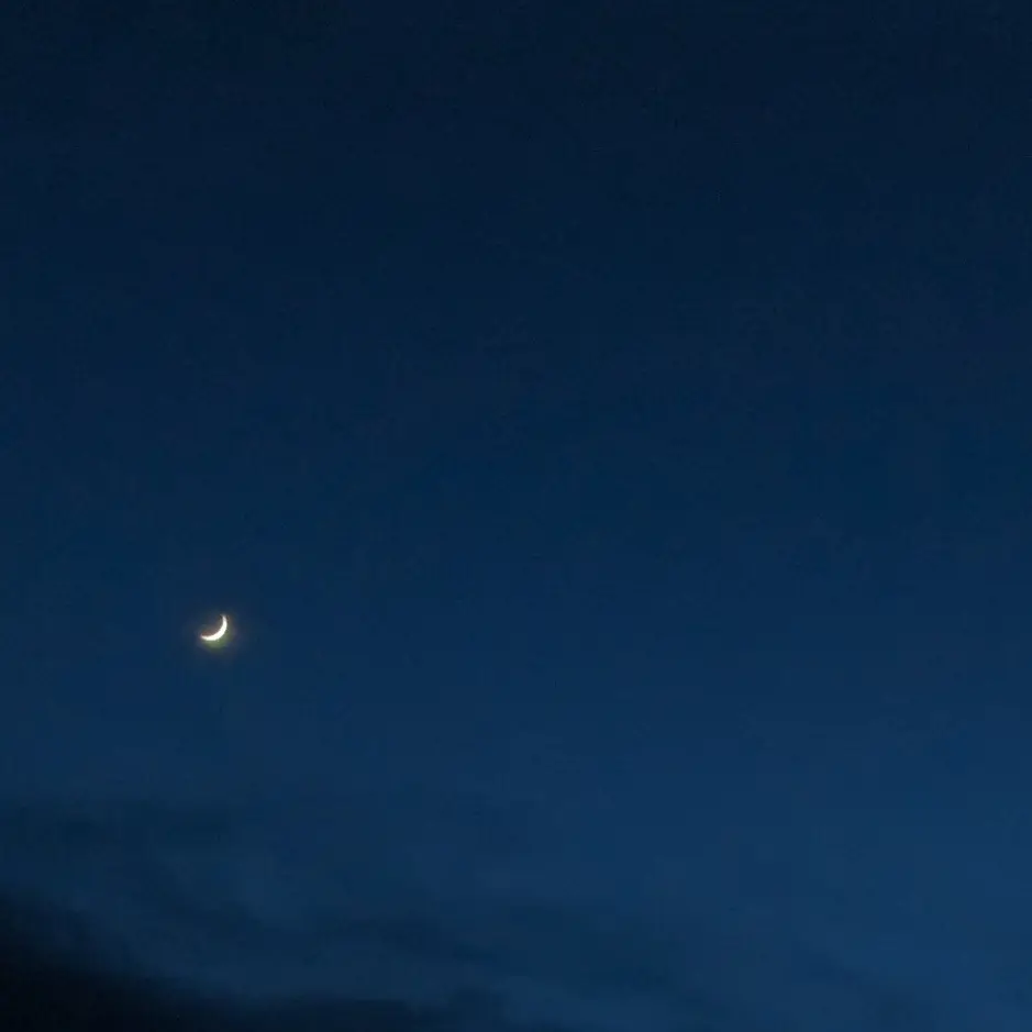 EggyBelt6087의 執事