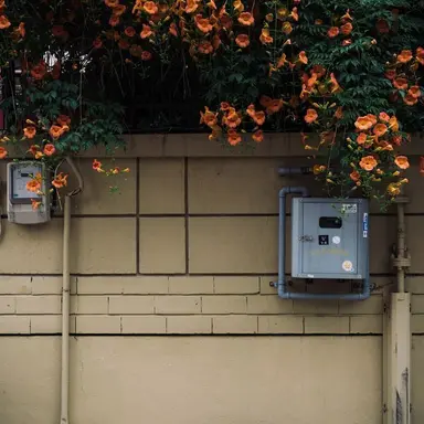 Profile image of 하루토