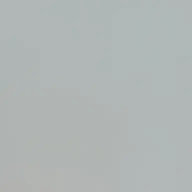 Profile image of 타잔