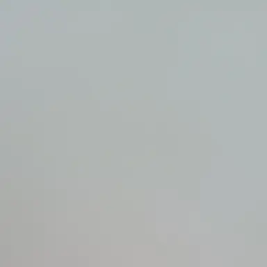 Profile image of 베일리