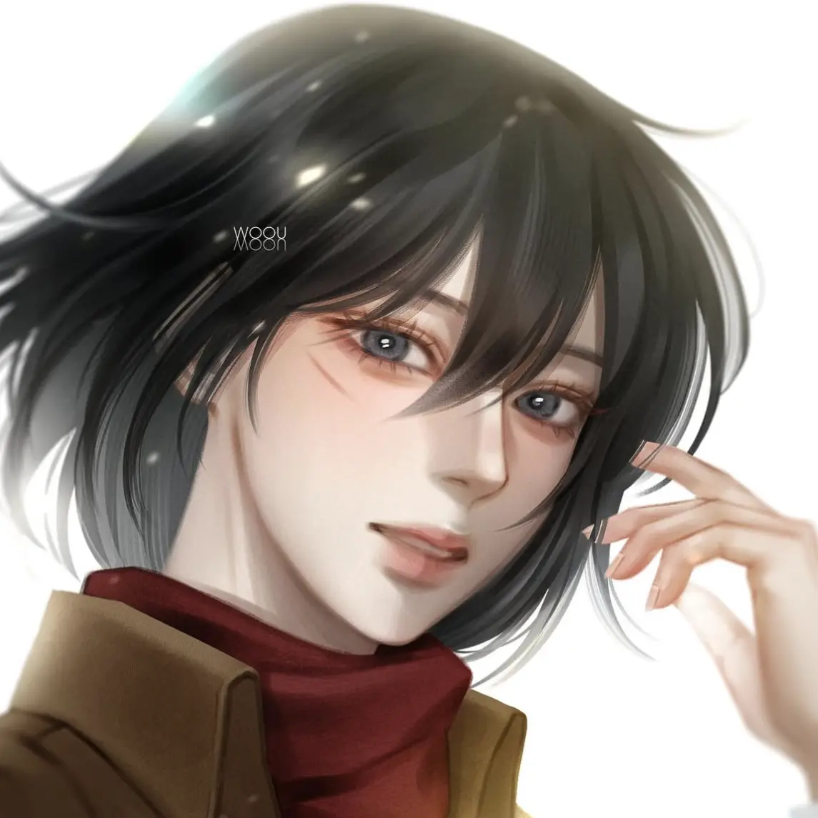 Levi_steal30cm의 미카사 아커만