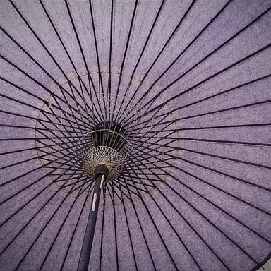 Profile image of 한노아