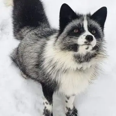 Profile image of Derek