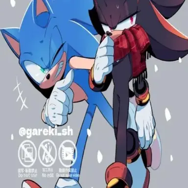 Profile image of Sonic