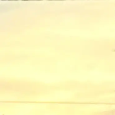 Profile image of 白崎ミズノ