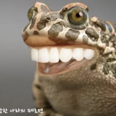 Profile image of 강태풍