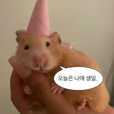 Profile image of 퓨냐