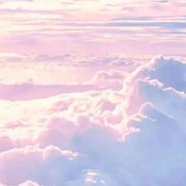 Profile image of USER