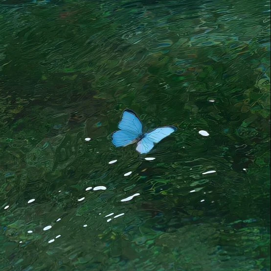 정공룡