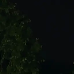 Profile image of 강태혅