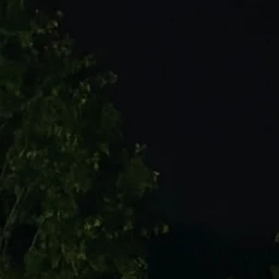 강태혅