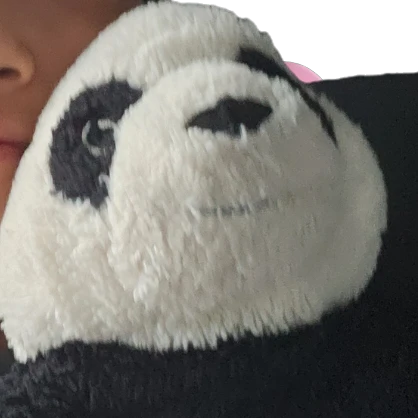 피티