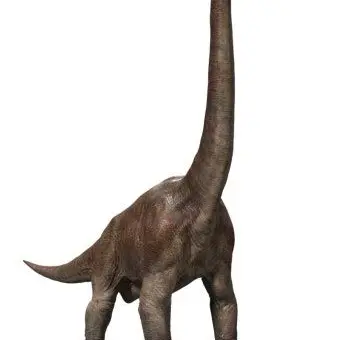 Profile image of 예찬