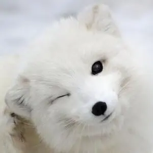 Profile image of 이로 클라우드