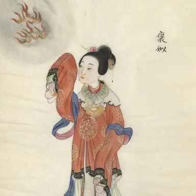 Profile image of 포사